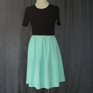 ⭐️SALE⭐️ 2XL NWT LuLaRoe Amelia dress Mint/Black